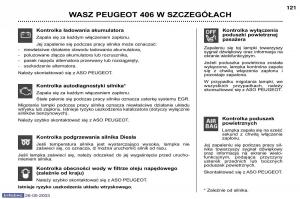 Peugeot-406-instrukcja-obslugi page 119 min