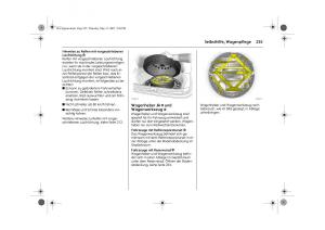 Opel-Signum-C-Vauxhall-Handbuch page 239 min