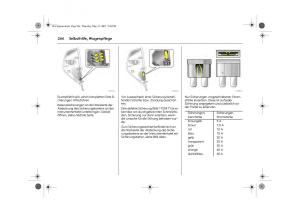 Opel-Signum-C-Vauxhall-Handbuch page 248 min