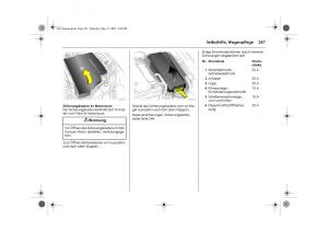 Opel-Signum-C-Vauxhall-Handbuch page 251 min