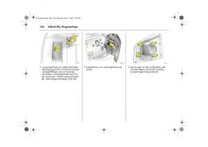 Opel-Signum-C-Vauxhall-Handbuch page 260 min