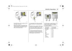 Opel-Vectra-C-Handbuch page 251 min