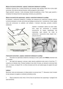 Chrysler-Voyager-Caravan-IV-4-instrukcja-obslugi page 114 min