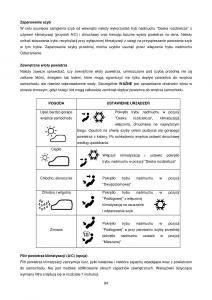 Chrysler-Voyager-Caravan-IV-4-instrukcja-obslugi page 84 min