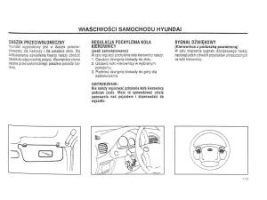 Hyundai-Accent-X3-Pony-Excel-instrukcja-obslugi page 39 min