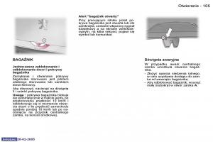 Peugeot-1007-instrukcja-obslugi page 104 min