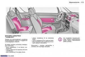 Peugeot-1007-instrukcja-obslugi page 112 min