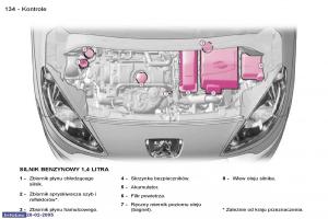 Peugeot-1007-instrukcja-obslugi page 133 min