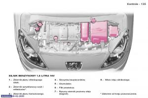 Peugeot-1007-instrukcja-obslugi page 134 min