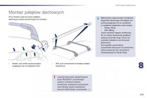 Peugeot-508-instrukcja-obslugi page 215 min