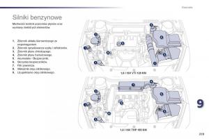 Peugeot-508-instrukcja-obslugi page 221 min