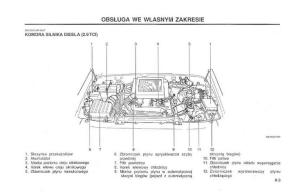 Hyundai-Terracan-Highlander-instrukcja-obslugi page 146 min