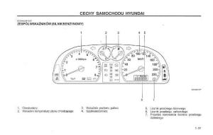 Hyundai-Terracan-Highlander-instrukcja-obslugi page 38 min