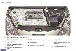 Peugeot-307-instrukcja-obslugi page 125 min