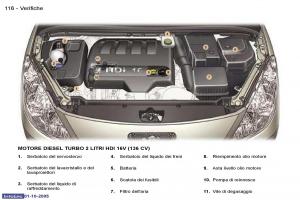 Peugeot-307-manuale-del-proprietario page 127 min