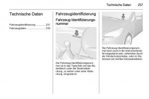 Opel-Corsa-E-Handbuch page 239 min