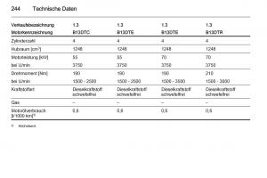 Opel-Corsa-E-Handbuch page 246 min