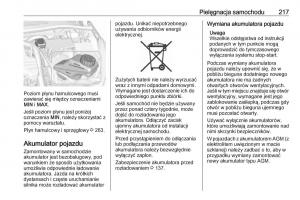 Opel-Corsa-E-instrukcja-obslugi page 219 min