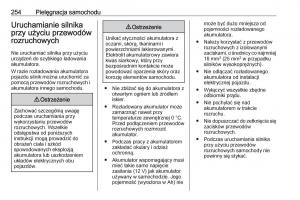 Opel-Corsa-E-instrukcja-obslugi page 256 min