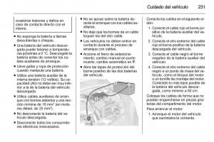 Opel-Corsa-E-manual-del-propietario page 233 min