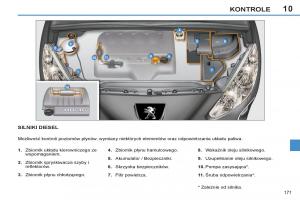 Peugeot-308-SW-I-1-instrukcja-obslugi page 173 min