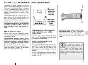 Renault-Koleos-instrukcja-obslugi page 161 min