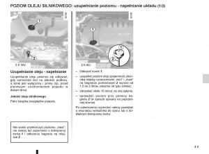 Renault-Koleos-instrukcja-obslugi page 163 min