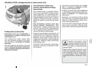 Renault-Koleos-instrukcja-obslugi page 195 min