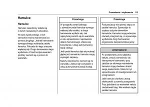Chevrolet-Spark-M300-instrukcja-obslugi page 115 min