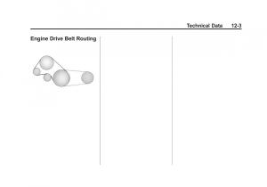 Chevrolet-Spark-M300-owners-manual page 323 min