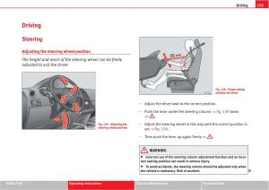 manual--Seat-Altea-owners-manual page 161 min