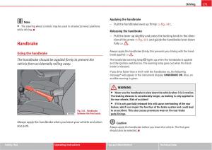 manual--Seat-Altea-owners-manual page 173 min