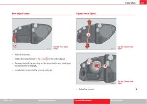 manual--Seat-Altea-owners-manual page 253 min