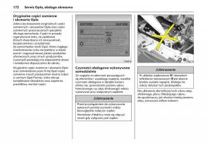 Opel-Combo-C-instrukcja-obslugi page 176 min