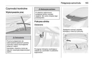 Opel-Meriva-B-instrukcja-obslugi page 185 min