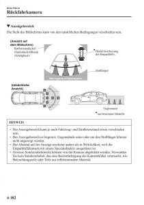 Mazda-3-III-Handbuch page 341 min