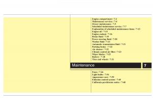 Hyundai-Genesis-I-1-owners-manual page 316 min