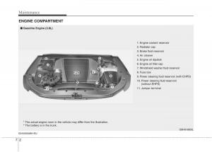 Hyundai-Genesis-I-1-owners-manual page 317 min