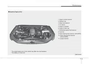 Hyundai-Genesis-I-1-owners-manual page 318 min