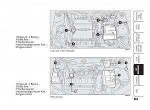 Fiat-Punto-II-2-owners-manual page 244 min