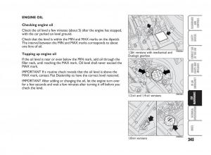 Fiat-Punto-II-2-owners-manual page 246 min