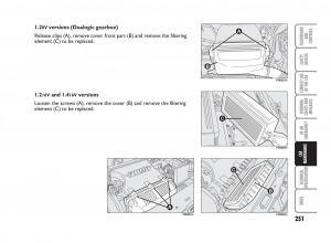 Fiat-Punto-II-2-owners-manual page 252 min