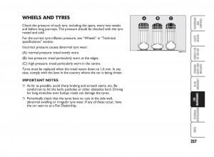 Fiat-Punto-II-2-owners-manual page 258 min