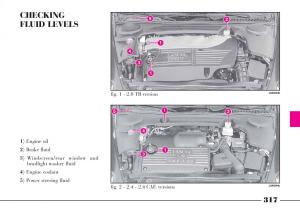 Lancia-Thesis-owners-manual page 318 min