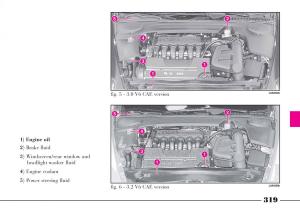 Lancia-Thesis-owners-manual page 320 min