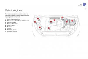 Citroen-DS4-owners-manual page 239 min