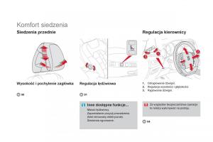 Citroen-DS4-instrukcja-obslugi page 20 min