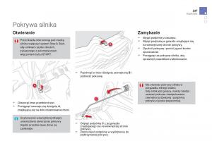 Citroen-DS4-instrukcja-obslugi page 239 min