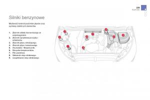 Citroen-DS4-instrukcja-obslugi page 241 min