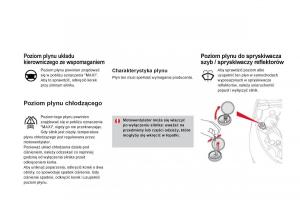 Citroen-DS4-instrukcja-obslugi page 244 min